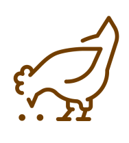 brown chicken leaning down and eating icon